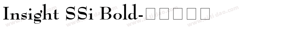 Insight SSi Bold字体转换